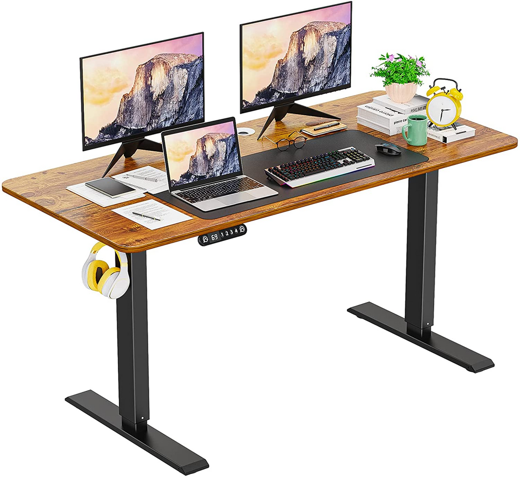 Professional Electric Standing Desk