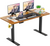 Professional Electric Standing Desk